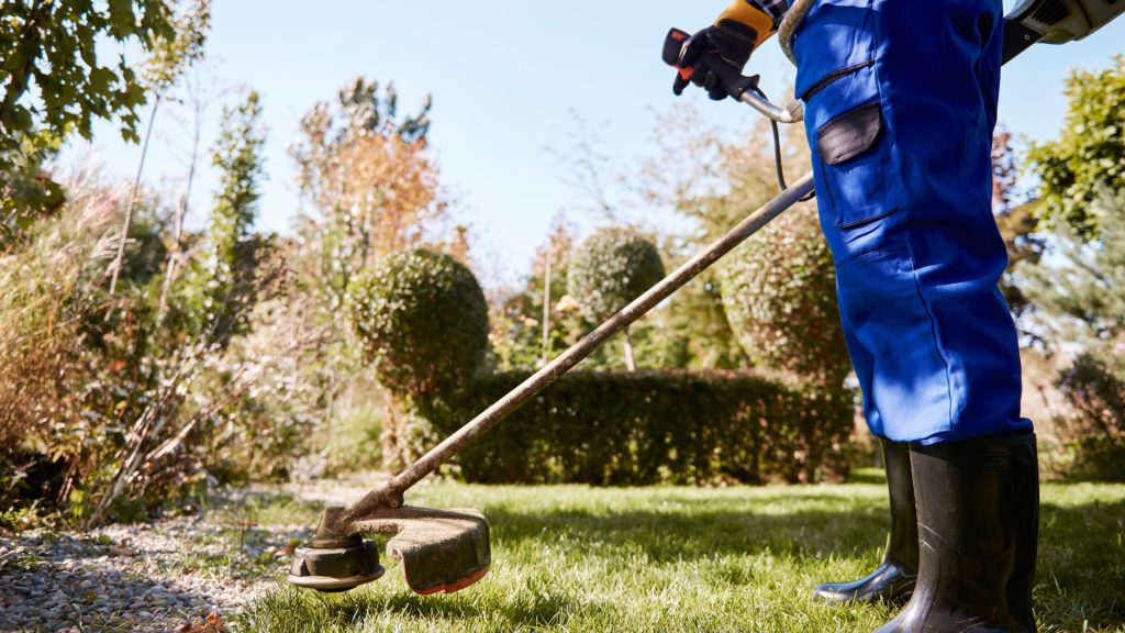 A picture of a landscaper using a Weedwhacker near some shrubbery.
