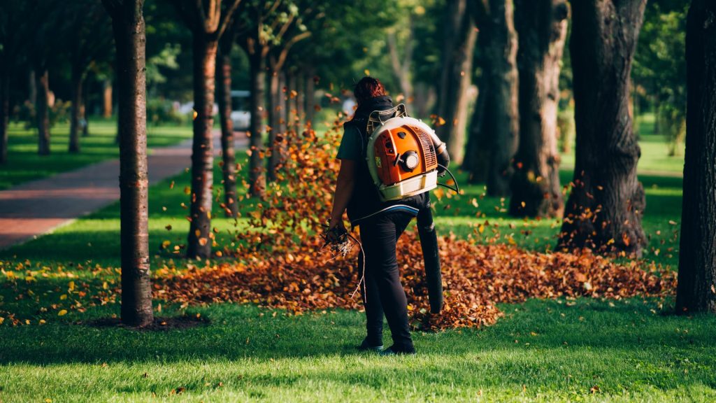 A picture of a female landscaper blowing leaves between a row of trees.