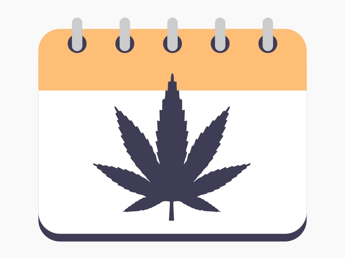 New Scheduling for Cannabis + Advertising Implications [2026]